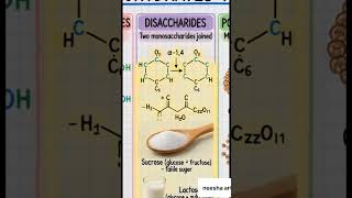 #Carbohydrates #BiologyShorts #LearnFast #ScienceMadeEasy #Biochemistry #NetLifeScience