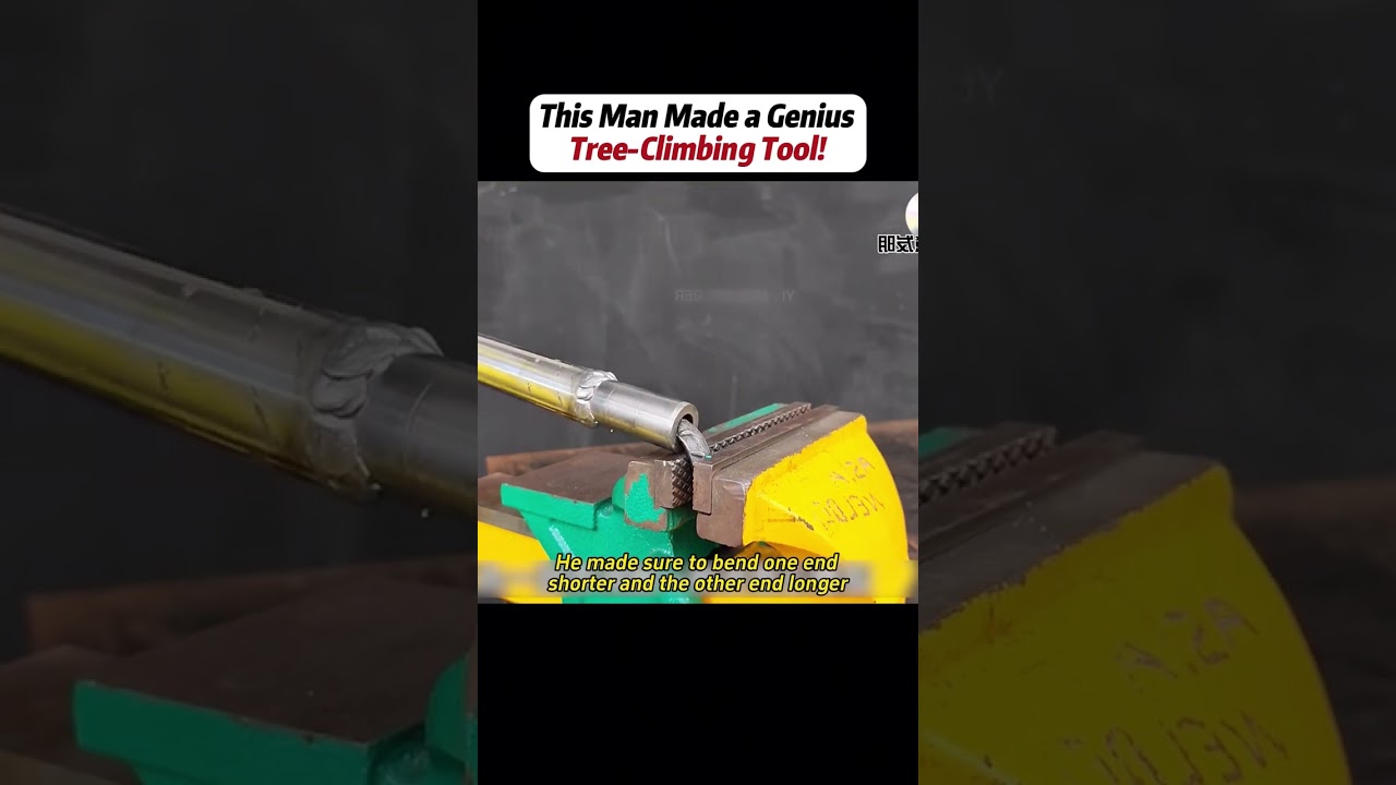 #handwork #Manufacturing #Build #Creativity #Repair #DIY #challenge #Treasurehunt #animalworld