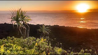 Peaceful Puna Coast | Big Island Hawaii | Cinematic Short Film