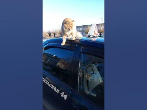 Новый курсант😂! - YouTube