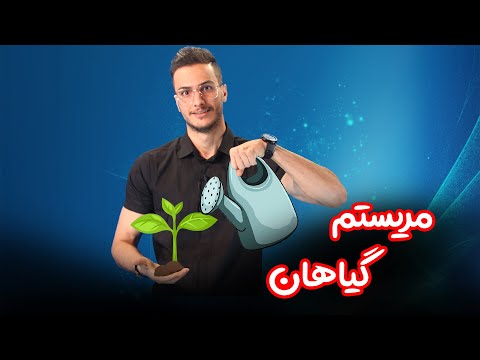 تصویری: 3 مریستم اصلی کدامند؟