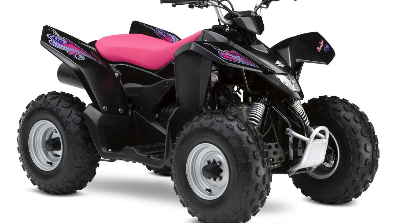 Suzuki quadsport z90