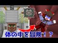 【マイクラ】夢の世界を再現したマップが凄すぎる! #2【ゆっくり実況】【配布マップ】
