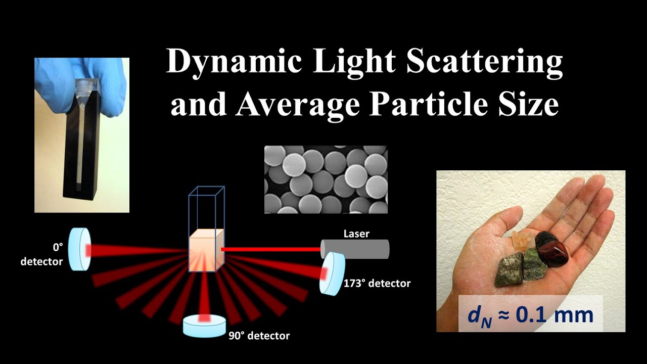 Why bias an average? // An intro to DLS and particle size measurement