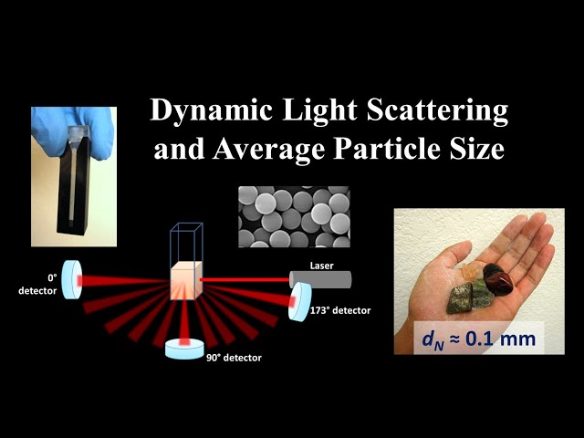 Why bias an average? // An intro to DLS and particle size measurement class=