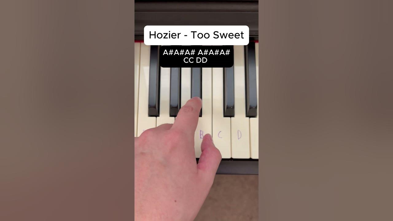 Hozier - Too Sweet Piano Tutorial #shorts