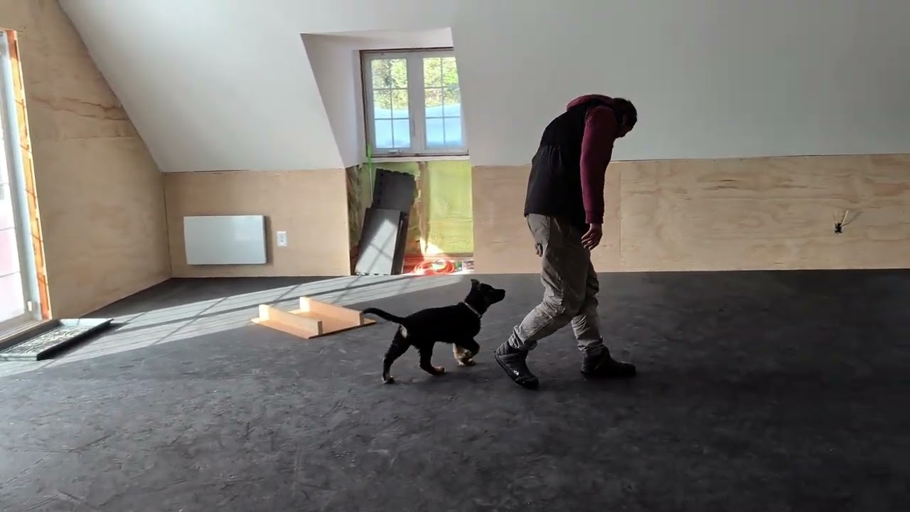 Putting it all together - 10 weeks 