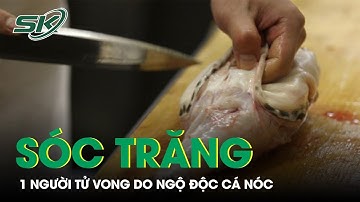 Sóc Trăng: Một Người Tử Vong Do Ngộ Độc Cá Nóc I SKĐS