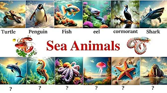 Sea Animals| All Sea Animals Name in English| Sea Animals Vocabulary + Self -Test