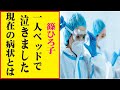 篠ひろ子の現在!今現在の様子がヤバすぎる・・・