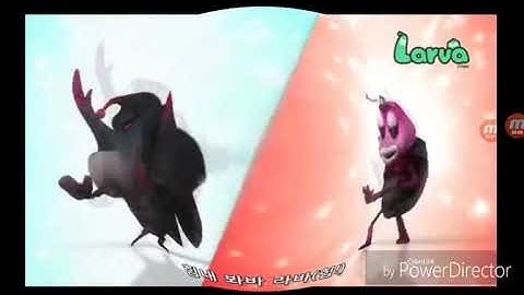 Larva Intro In Combined Effects