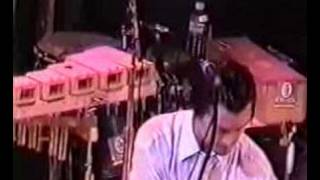 Mr. Bungle: Goodbye Sober Day, Live