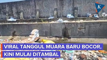 Viral Tanggul Muara Baru Jakut Bocor, Begini Kondisinya