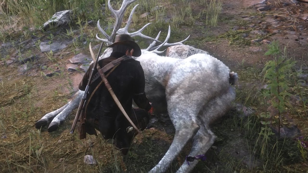 Hunt The Legendary Elk - Red Dead Redemption 2 - YouTube