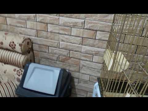 ٢٨ أكتوبر ٢٠١٨ 