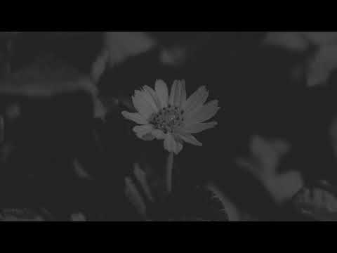 YouTubeでMARiAN - Allureを視聴 YouTubeでMARiAN - Allureを視聴
