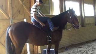 923_0142.MOV