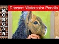 Watercolor pencils tutorial for beginners