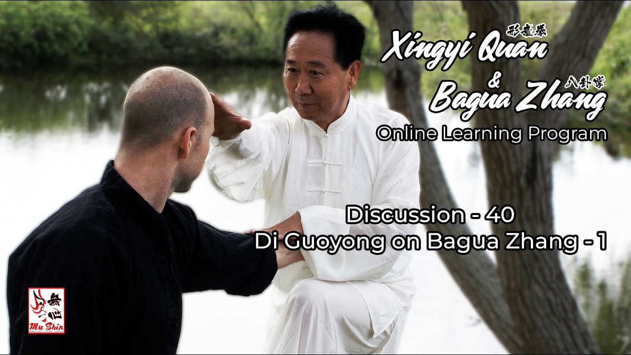 Bagua Zhang Origins & Development - Master Di Guoyong on Bagua Zhang 