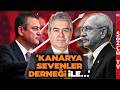 SÜHEYL BATUM İSYAN ETTİ! CHP'ye Mutlak Butlan Kararına Verdi Veriştirdi! 'Hukuk Dışıdır!'
