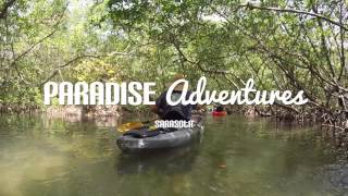 Website Banner Video 2