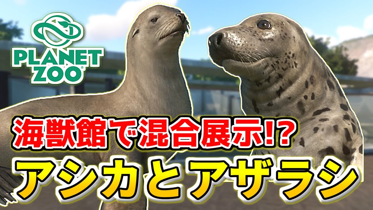 Planet Zoo】アシカとアザラシを混合展示！？アクアエリアに海獣館を