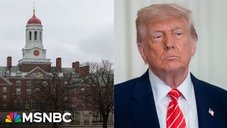 25 percent pay cut: Harvard president to reduce salary amid White House funding battle