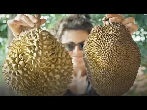 Video: Vilken Typ Av Frukt är Durian?