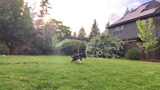 Rico --  2x2 Weaves Training #1