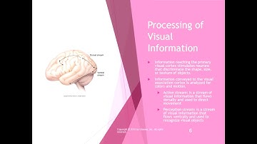 Chapter 21 Lecture Part 1 Visual System and Visual Disorders