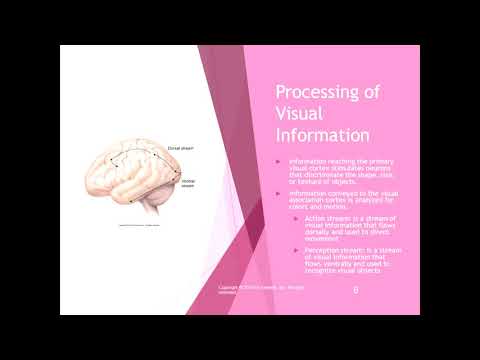 Chapter 21 Lecture
