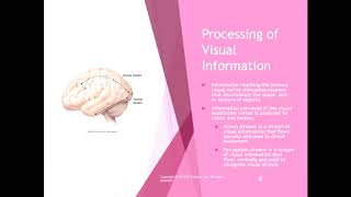 Chapter 21 Lecture Part 1 Visual System and Visual Disorders Chapter 21 Lecture Part 2 The Eye Movement System