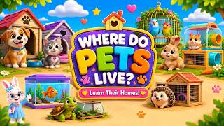 Where Do Pet Animals Live? | Learn 15 Pet Animal Homes | Kids Learning | Pet Animals and Their Homes