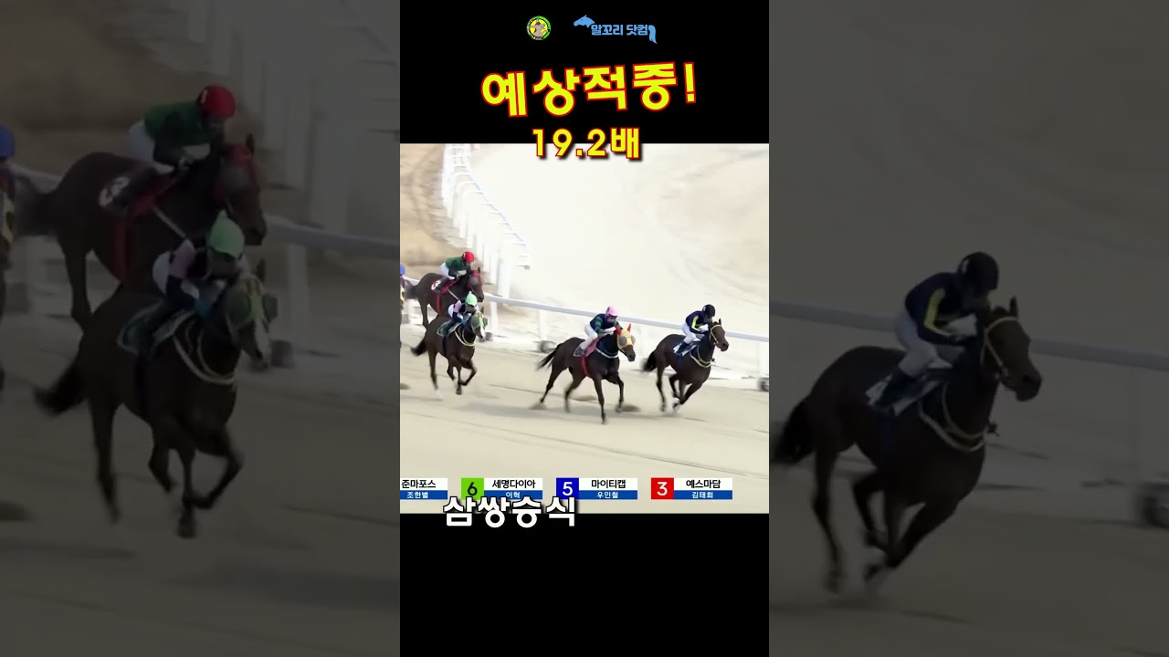 말꼬리 AI경마 예상적중! 19.2배 11월23일 서울3경주 삼쌍승식 #shorts #ai경마 #경마예상 #경마 #경마예상지