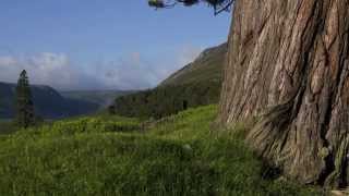 Scotland; Loch Muick, Balmoral, Isle of Iona, and Edinburgh