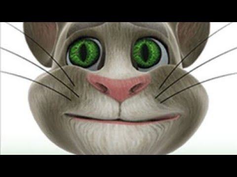 Video: Cómo Jugar Talking Tom Cat