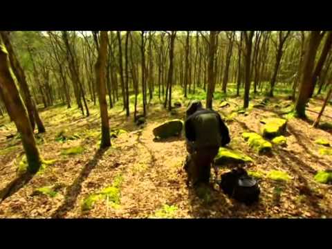 Wild Britain with Ray Mears Pt 2