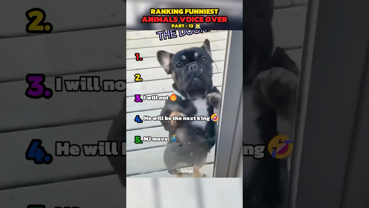 Ranking Funniest Animals Voice Overs Videos Part-13 