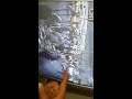 لحظة انفجار حزام ناسف في الكاظمية ساحة عدن من ك...