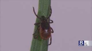 Experts speak on protecting yourself from ticks