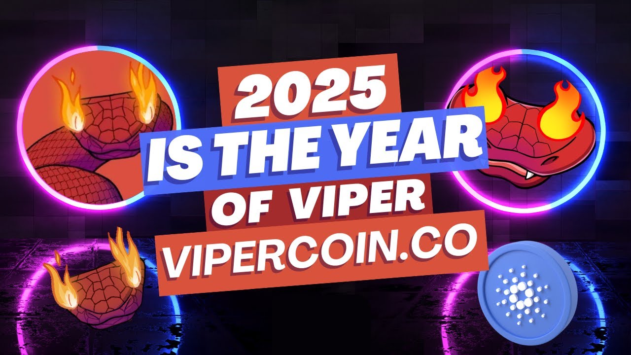 🐍2025 Year of the Snake - New VIPER Updates🔥