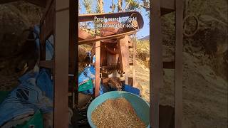 No farmer No future #farming #farmlife #villagelife #kanak #himachal #viralshort #subscribe #support