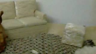 CIMG0146.AVI