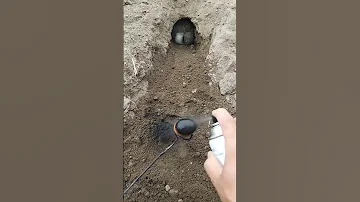 RABBIT MOM You Can T Guess How Many To Go In Videos Cute Moment You Never Know Before Yt 625 