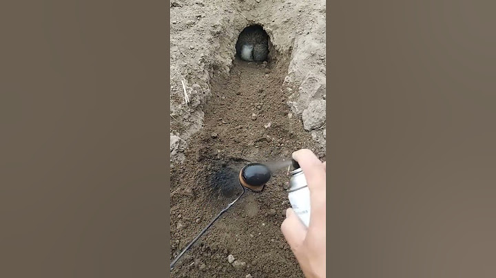 RABBIT MOM 🐇🐰 you can't guess how many to go in, Videos Cute moment you never know before #yt #625