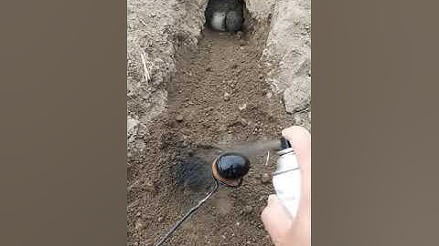 RABBIT MOM 🐇🐰 you can