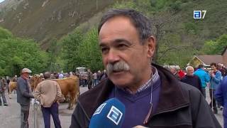 Escasa presencia de animales en la feria ganadera de Santillán