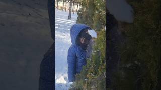 Download Lagu Umay'a Kar Yağdı 😂 #shortsvideo #shorts MP3