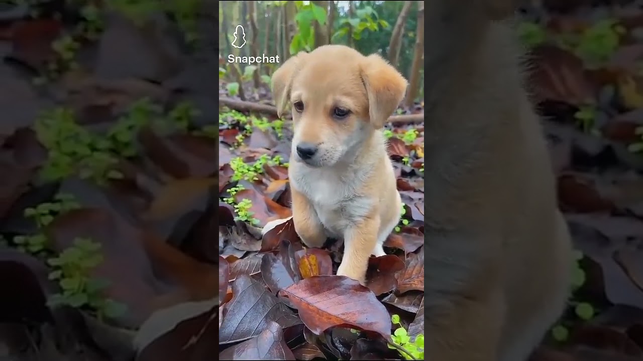 ❤️🤗❣️😍