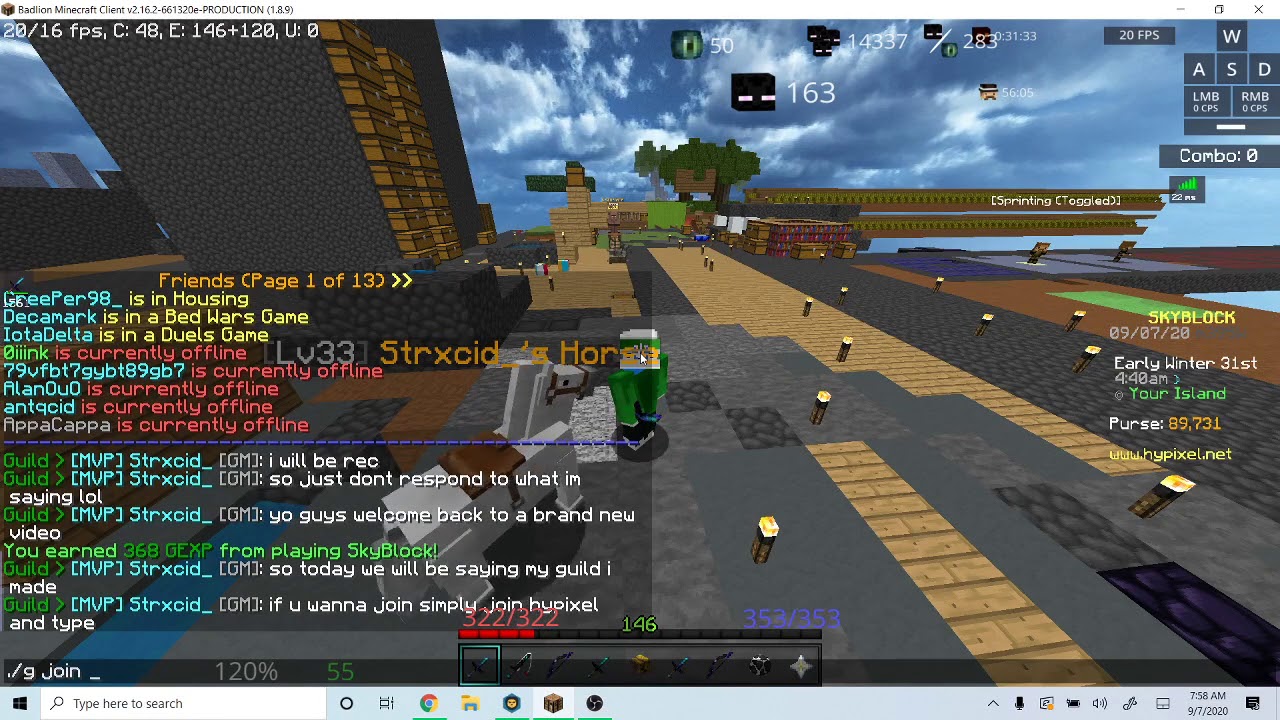 My SkyBlock guild (Hypixel)